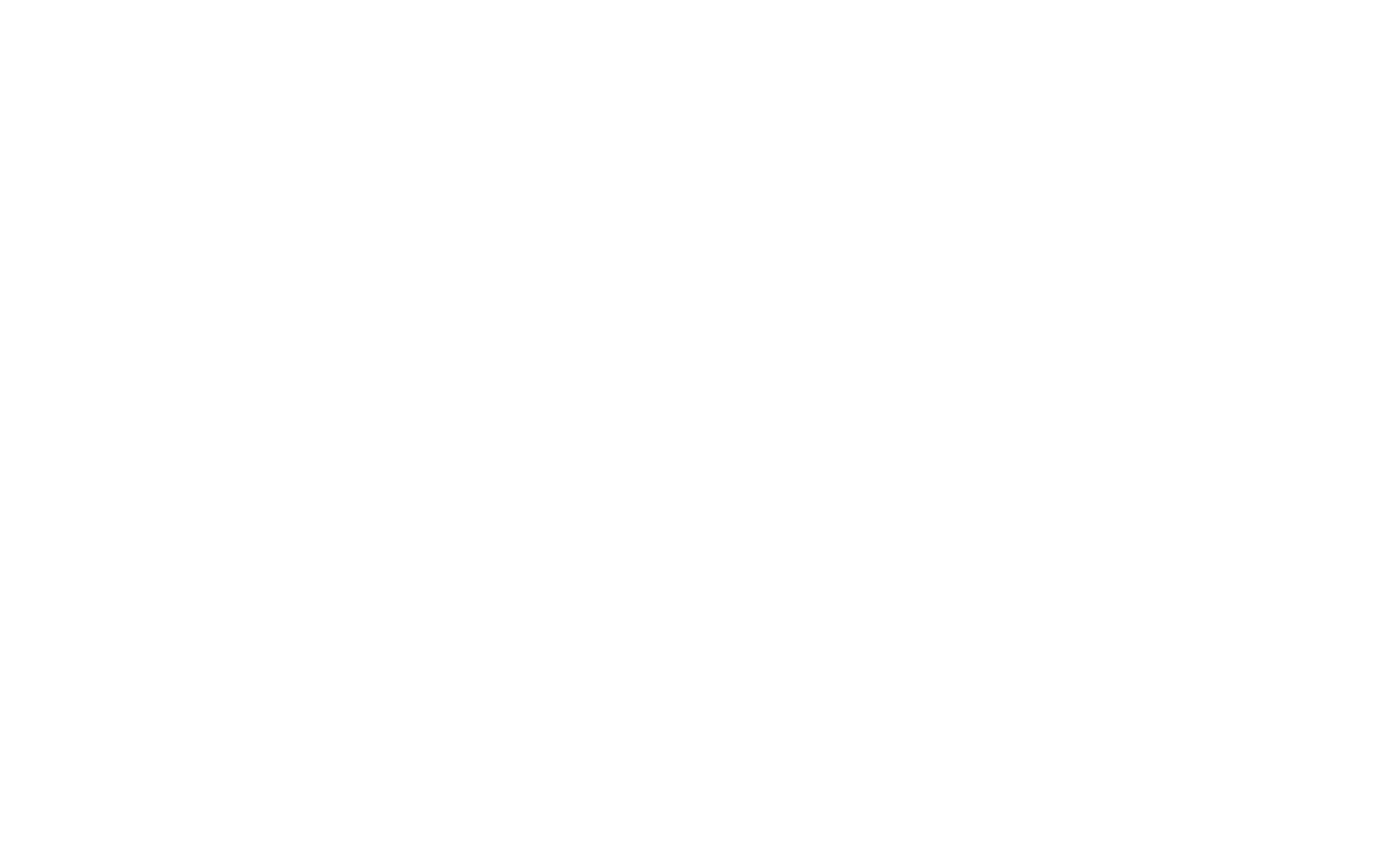 The Fog Company logo
